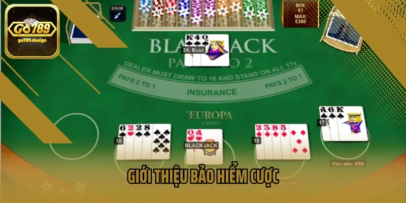 Giới thiệu bảo hiểm cược