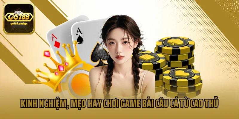 Kinh nghiệm, mẹo hay chơi game bài câu cá từ cao thủ