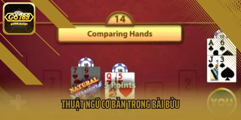 Thuật ngữ cơ bản trong bài bửu