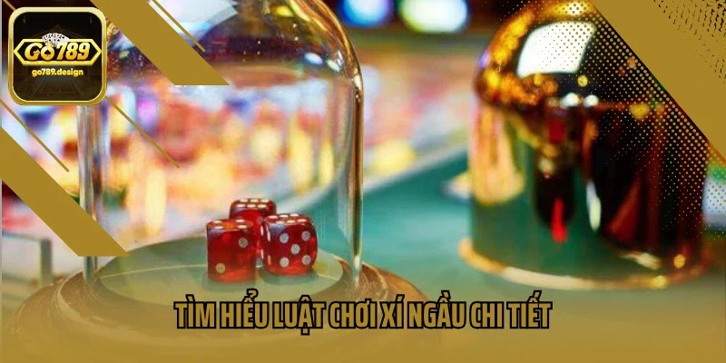 Tìm hiểu luật chơi xí ngầu chi tiết